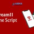 AED 5000,  Develop A Revenue-Driven Fantasy Sports Platform Like Dream11