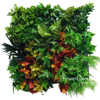 Melbourne, Household, Artificial Plant Walls, Vertical Gardens & Hedges  -  Forever Green Walls