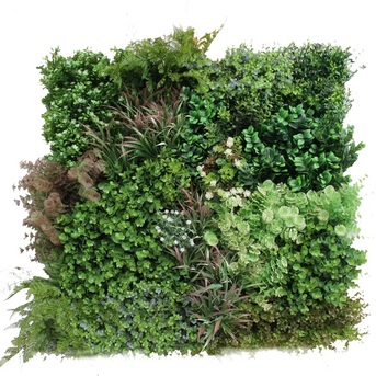 Melbourne, Household, Artificial Plant Walls, Vertical Gardens & Hedges  -  Forever Green Walls