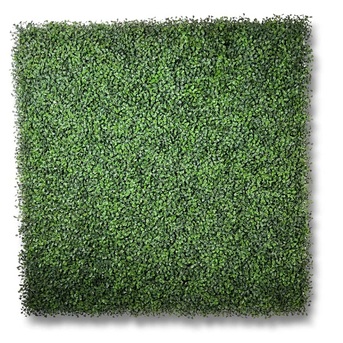 Melbourne, Household, Artificial Plant Walls, Vertical Gardens & Hedges  -  Forever Green Walls