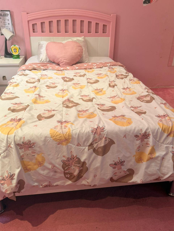 Riyadh, Furniture, SAR 500,  Pink Bedroom For Girls