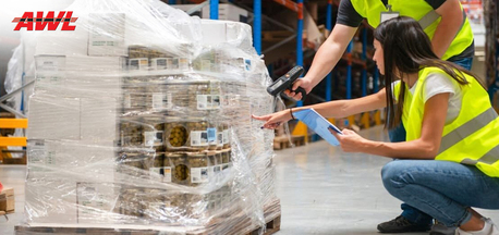 Gurgaon, Logistics, How Are Indian Pharmaceutical Companies Securing Active Pharmaceutical Ingredients