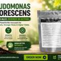 CAD 55,  Weak Seedling Survival? Improve Early Crop Support With Pseudomonas Fluorescens