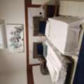 SAR 1150/month,  Furnished,  1 BR,  80 Sq. Meter,  Flat In Share