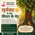 Suryagrah Ke Liye Peepal Ke Ped