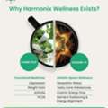 Functional Medicine Doctor For Autoimmune Diseases