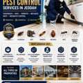 Elite Pest Control Services In Jeddah