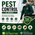 Professional Pest Control Experts In Jeddah