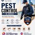 Professional Pest Control Services In Jeddah
