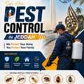 Expert Pest Control Solutions In Jeddah