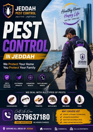 Jeddah, Pest Control, Premium Pest Control Services In Jeddah