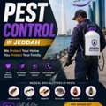 Premium Pest Control Services In Jeddah