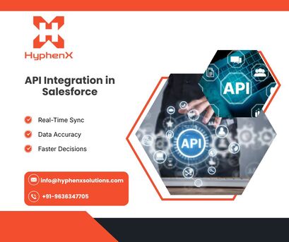 New York, Software Development, API Integration In Salesforce​