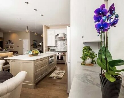 New York, Business, Cabinet Connection | Cabinet Store | Cabinet Maker Strasburg CO