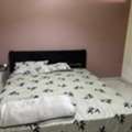 SAR 950/month,  Furnished,  450 Sq. Meter,  Furnished Room With Separate Bathroom , Executive Bachelor ,Near Asia Cargo