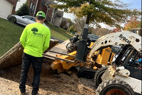 New York, Farm/Garden, Watts Tree Experts