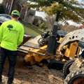 Watts Tree Experts