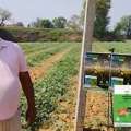 Shriram DripIT Veg Nutrition For Vegetable Crops & High Yield