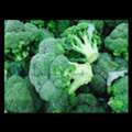 INR 260,  Buy Seasonal Crop Seeds - Shramik Krishi Kendra