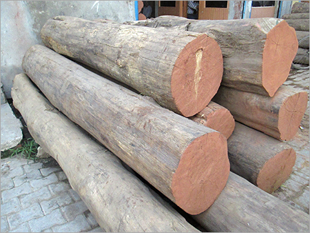 Ahmedabad, Business, Burma Teak Suppliers