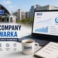 Best SEO Company In Dwarka For Growth - DDMS