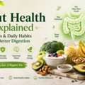 Gut Health Explained: Foods & Daily Habits For Better Digestion