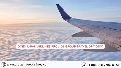 New York, Travel, Does Japan Airlines Provide Group Travel Options?