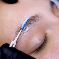 New York, Beautician, Brow Lamination Fort Collins Fuller And Defined Brows