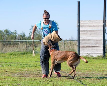 Pune, Pet Sitting, Dog Training Service In Pune