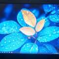 BHD 15,  Window 10 Pro Lenovo N42 Chromebook 14" 4GB RAM 16GB SSD  MS Office 15BD Only