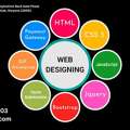 Rohtak's No.1 Website Designing Course At Webmok