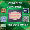 CNY 100,  Best-quality PM.K 28578-16-7 BM.K 5449-12-7/49851-31-2 In China