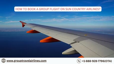 New York, Travel, How To Book A Group Flight On Sun Country Airlines?