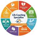 Bright Network LLC