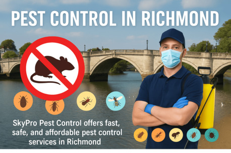 London, Pest Control, Fast Bedbugs Control Richmond &ndash; Heat Treatment & Same-Day Service