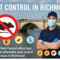 Fast Bedbugs Control Richmond – Heat Treatment & Same-Day Service