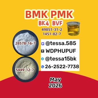 Panchkula, Wholesale Products, 28578-16-7 PM.K B.MK 5449-12-7,1451-82-7, 49851-31-2,