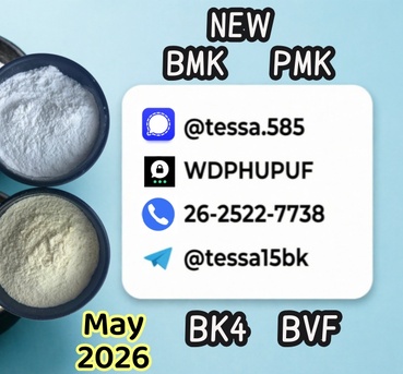 Panchkula, Wholesale Products, 28578-16-7 PM.K B.MK 5449-12-7,1451-82-7, 49851-31-2,