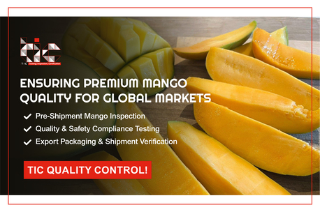 Mumbai, Cargo, What Is A Certificate Of Conformity (CoC)? Meaning, Definition & Complete Guide