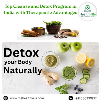 Bhubaneswar, Health, Top Cleanse And Detox Program In India With Therapeutic Advantages