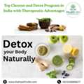 Top Cleanse And Detox Program In India With Therapeutic Advantages