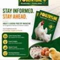 Best Poultry Magazine In India | Latest Poultry Industry News & Farming Insights