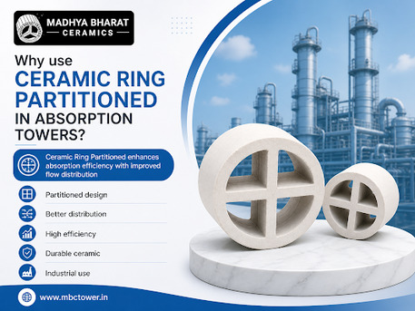 Bhopal, Materials, Ceramic Ring Partitioned Manufacturer For Chemical Industries