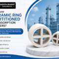 Ceramic Ring Partitioned Manufacturer For Chemical Industries