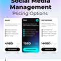 Social Media Management Package For Your Business
