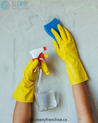 Vancouver, Cleaning, Start A Residential Cleaning Franchise With Low Investment