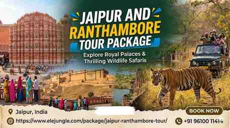 Jaipur, Travel, Explore Rajasthan: Book Your Perfect Jaipur And Ranthambore Tour Package Now