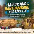 Explore Rajasthan: Book Your Perfect Jaipur And Ranthambore Tour Package Now