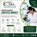 Summer Internship In Biotechnology – Practical Training By Codon Biotech