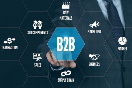 New Delhi, Business, How Do Suppliers Grow Through The Best B2B Portal In India?